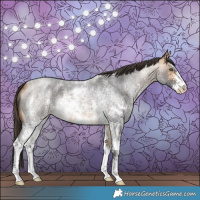 Horse Color:Buckskin Roan Sabino