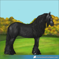 Horse Color:Gray Black 
