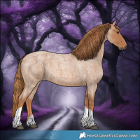 Horse Color:Red Roan Tobiano 
