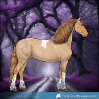 Horse Color:Red Roan Tobiano 