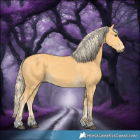 Horse Color:Palomino