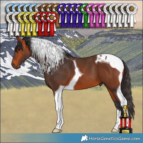 Horse Color:Bay Tobiano 