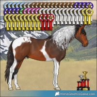Horse Color:Bay Tobiano