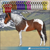 Horse Color:Bay Tobiano