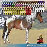 Horse Color:Bay Tobiano