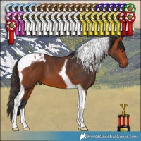 Horse Color:Bay Tobiano 