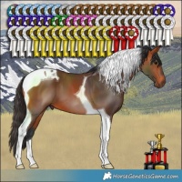 Horse Color:Bay Tobiano 