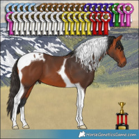 Horse Color:Bay Tobiano 
