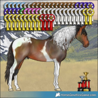 Horse Color:Bay Tobiano 