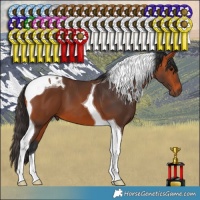 Horse Color:Bay Tobiano 