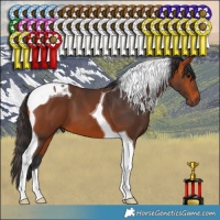 Horse Color:Bay Tobiano 