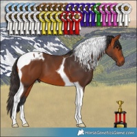 Horse Color:Bay Tobiano 