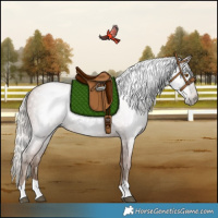 Horse Color:Gray Silver Black Pearl Tobiano 