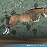 Horse Color:Buckskin Rabicano 