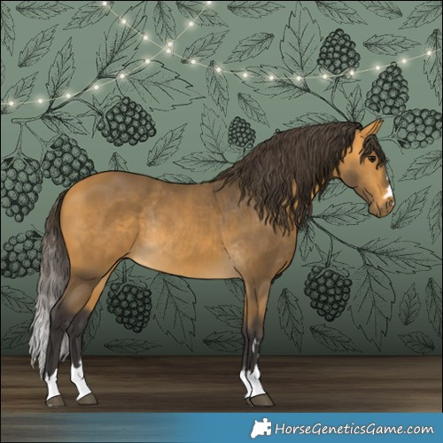 Horse Color:Buckskin Rabicano 