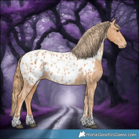 Horse Color:Chestnut Near Leopard 