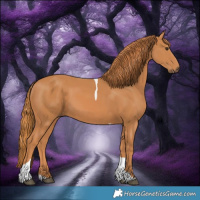 Horse Color:Chestnut Tobiano 