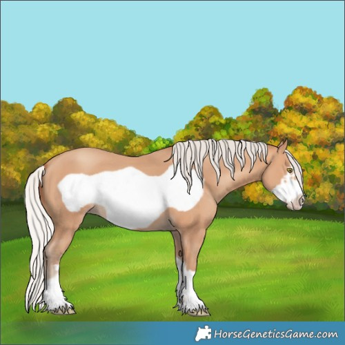 Horse Color:Silver Amber Champagne Frame 