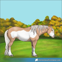 Horse Color:Silver Amber Champagne Frame