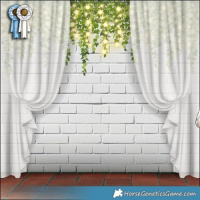 Horse Color:Powder White Black Appaloosa 