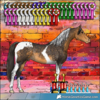 Horse Color:Buckskin Tobiano Appaloosa Rabicano 