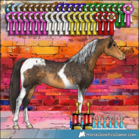 Horse Color:Buckskin Tobiano Varnish Rabicano 