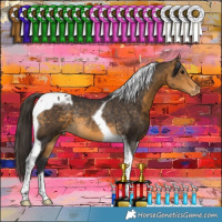 Horse Color:Buckskin Tobiano Appaloosa Rabicano 