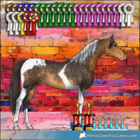 Horse Color:Buckskin Tobiano Appaloosa Rabicano 