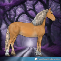 Horse Color:Palomino Tobiano 
