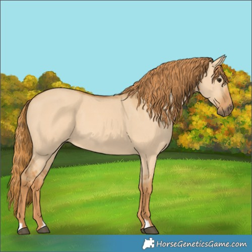 Horse Color:Red Dun