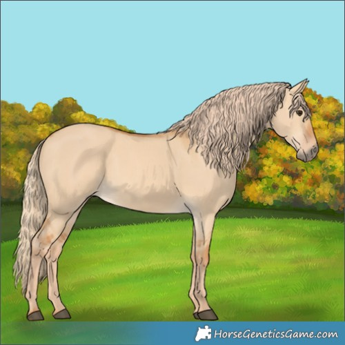 Horse Color:Red Dun 