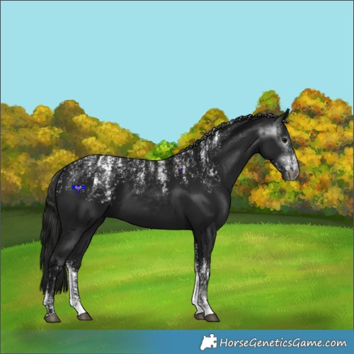Horse Color:Powder White Gray Black  and Powder White Gray Black 