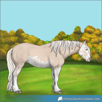 Horse Color:Cremello Splash  and Cremello Splash 