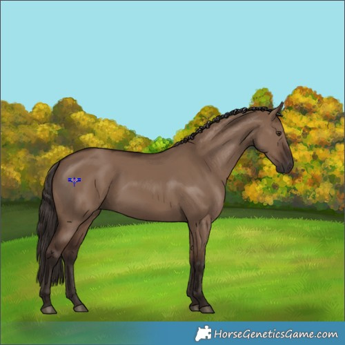 Horse Color:Liver Red Dun 