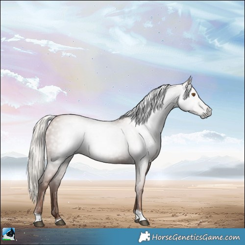Horse Color:Gray Silver Black Pearl Tobiano 