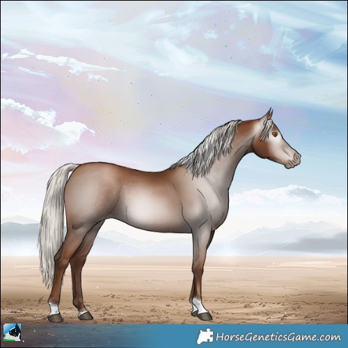 Horse Color:Gray Silver Black Pearl Tobiano 