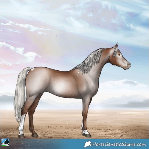 Horse Color:Gray Silver Black Pearl Tobiano