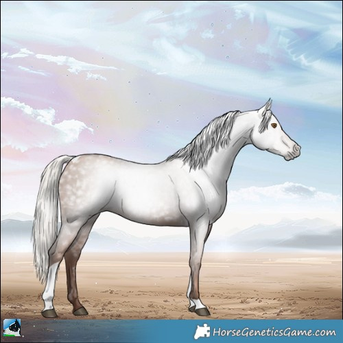 Horse Color:Gray Silver Black Pearl Tobiano 