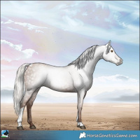 Horse Color:Gray Silver Black Pearl Tobiano