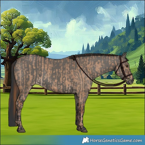 Horse Color:Red Dun and Grullo