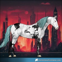 Horse Color:Void Painted Cremello Chinchilla Tobiano 