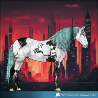 Horse Color:Void Painted Cremello Chinchilla Tobiano