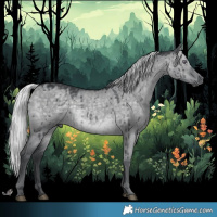 Horse Color:Silver Grullo Chinchilla Brindle 