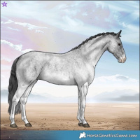 Horse Color:White Spotted Blue Roan 