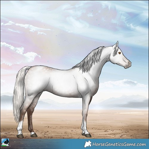 Horse Color:Gray Silver Black Pearl Tobiano 