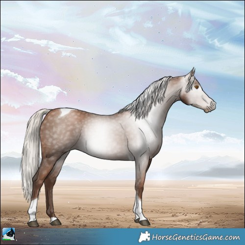 Horse Color:Gray Silver Black Pearl Tobiano 