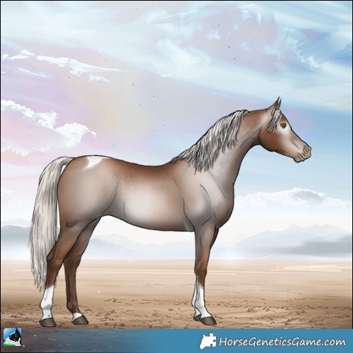 Horse Color:Gray Silver Black Pearl Tobiano 