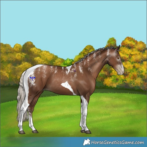 Horse Color:Powder White Gray Silver Black Pearl Tobiano 