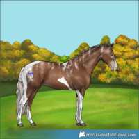 Horse Color:Powder White Gray Silver Black Pearl Tobiano 