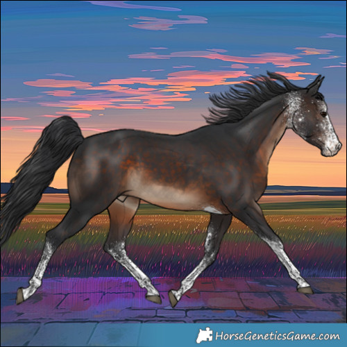 Horse Color:White Spotted Brown Tobiano Rabicano 
